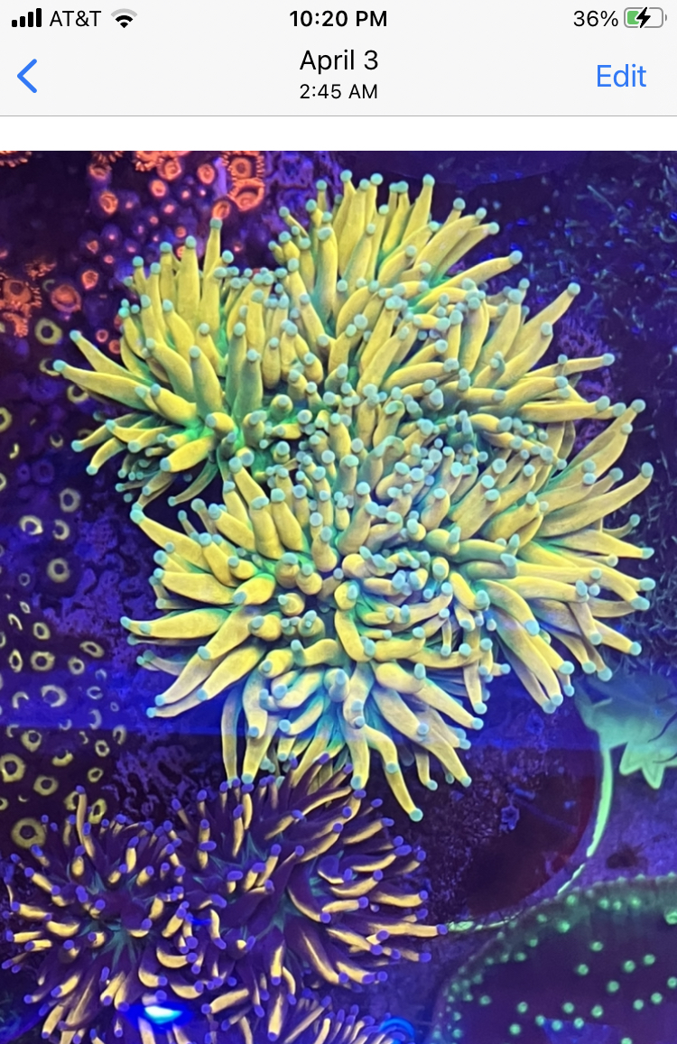 216DC36F-304F-4446-B74E-A8B93C07B9AA.jpeg