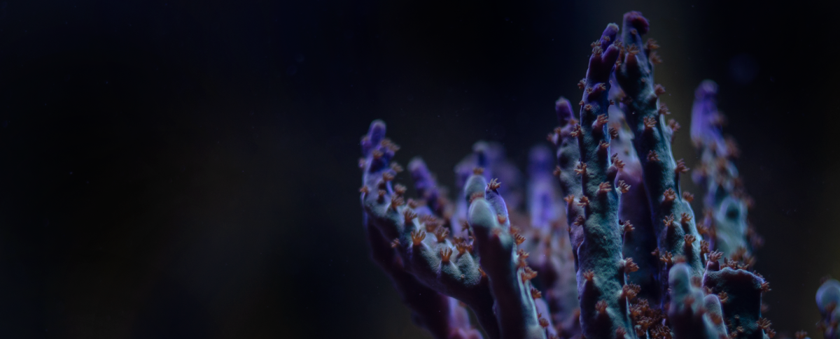 22.png