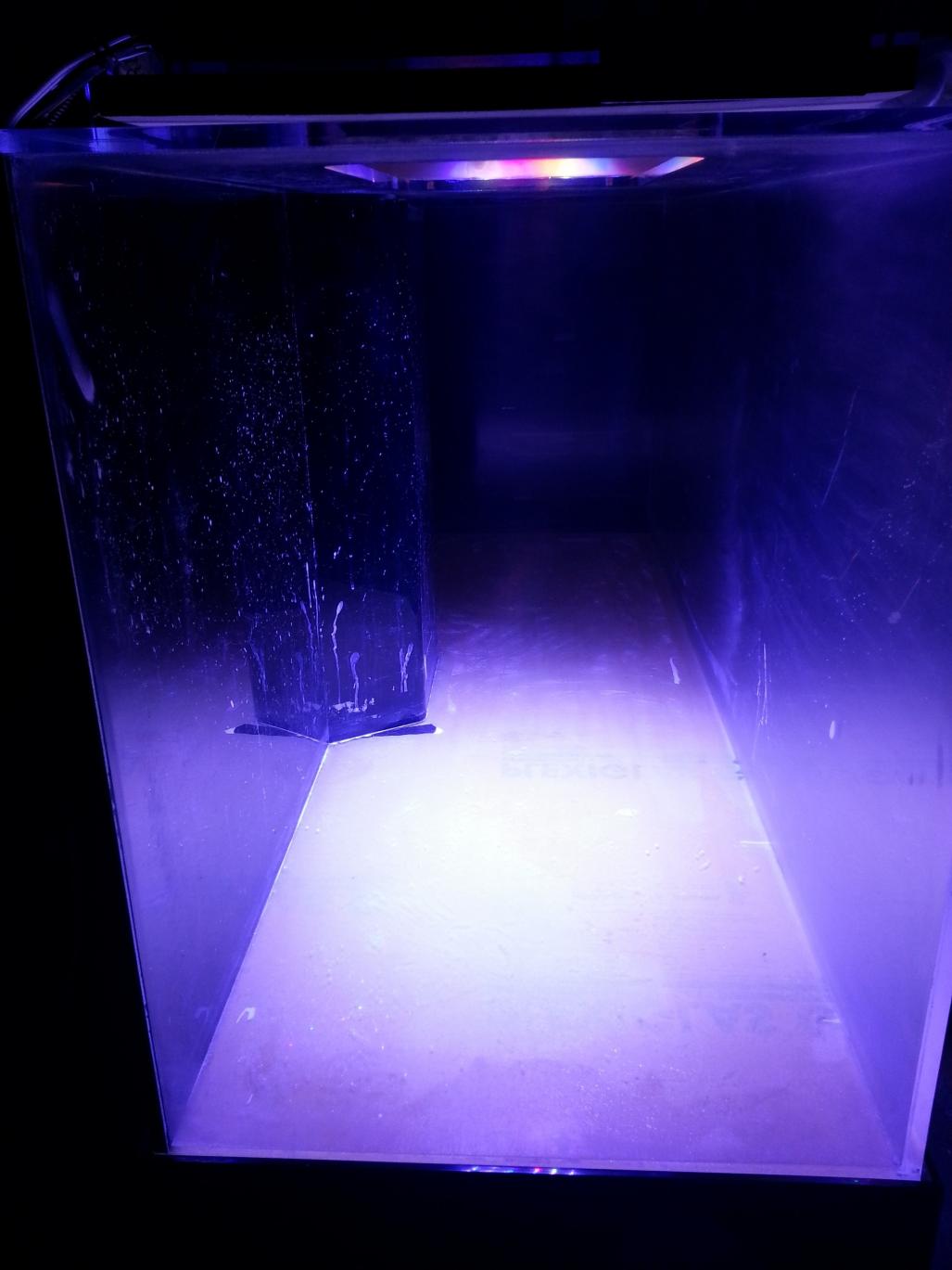 225g clean.jpg