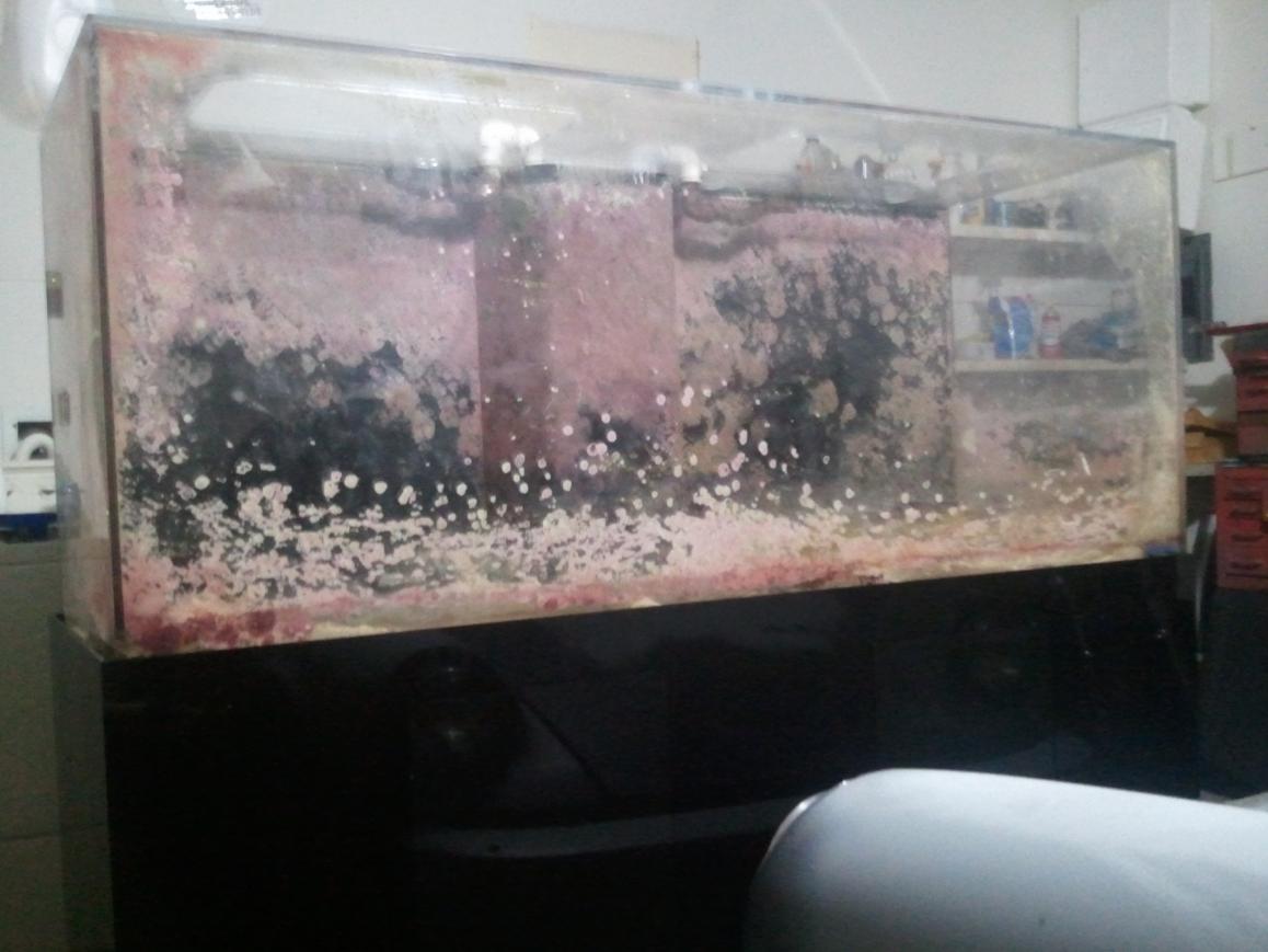 225g.jpg