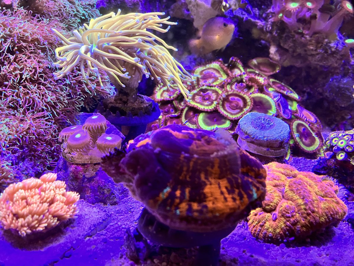 2282F0FD-A372-4C1A-9ADF-2F11542E5DF2.jpeg