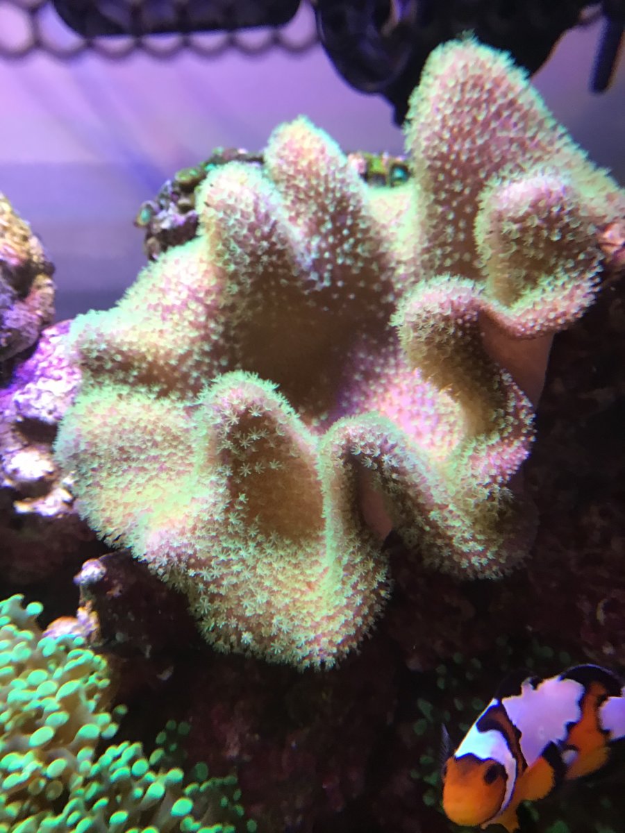 22E07E71-377F-493F-BD87-E73E81F5CC17.jpeg