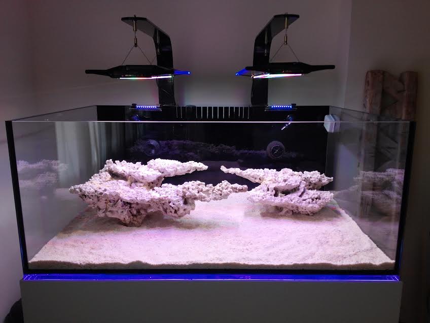 Tips and Tricks on Creating Amazing Aquascapes. | Page 27 ...