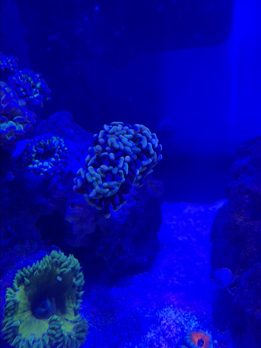 23869B6F-D440-45E0-BFAA-445F98E7AAB5.jpeg