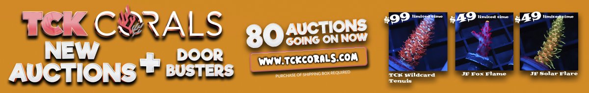 2400x380-wide with auctions and door busters JUN4.jpg