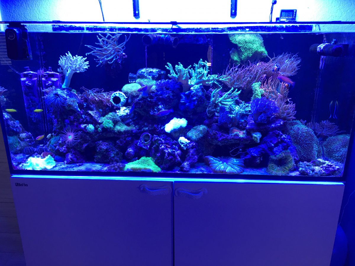 AllforReef dosing and water changes Reef2Reef
