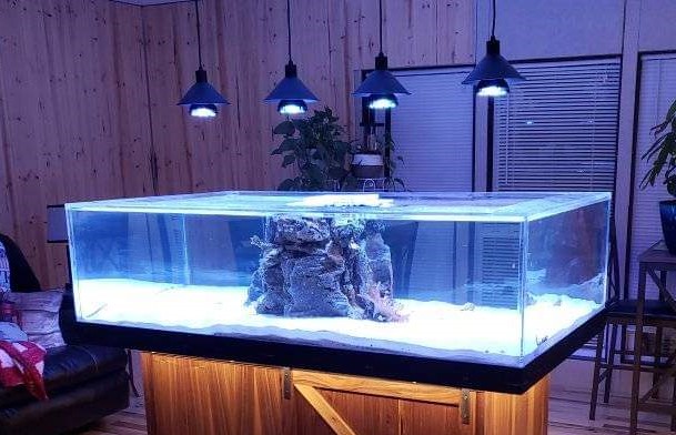 250 gallon aquarium (2).jpg