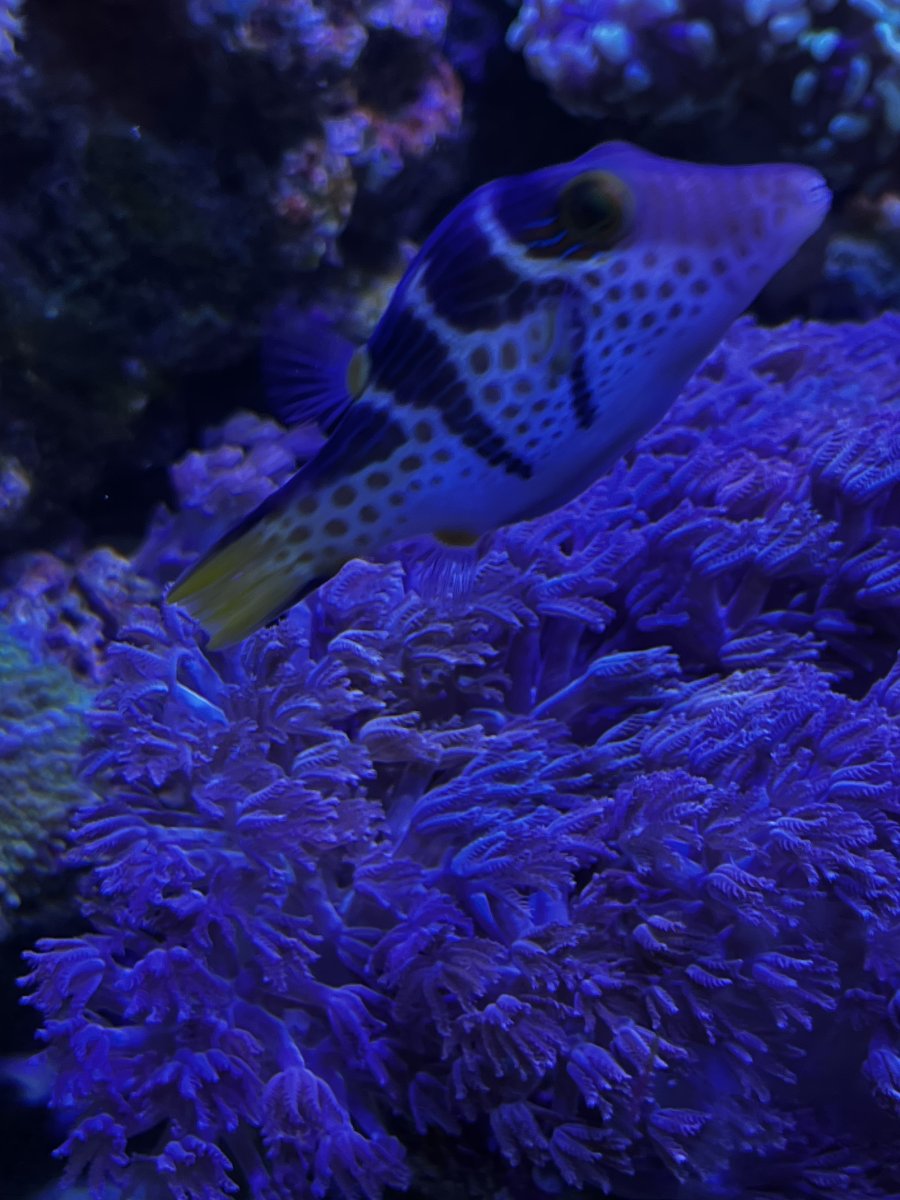 25EBFD69-2858-4643-9BC1-7ABD0D0C1F69.jpeg