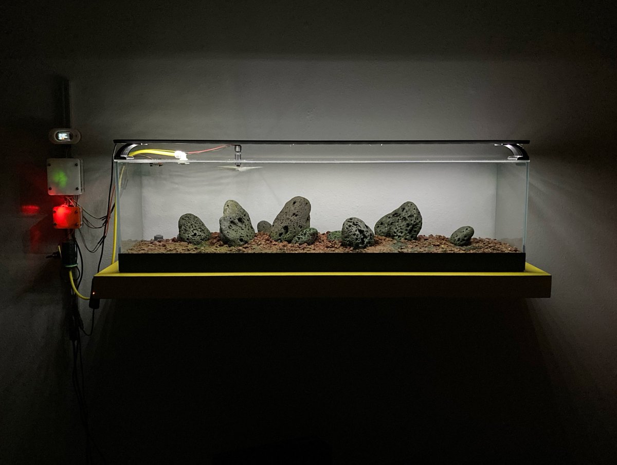 26-XII-22-Terrarium-III.jpg