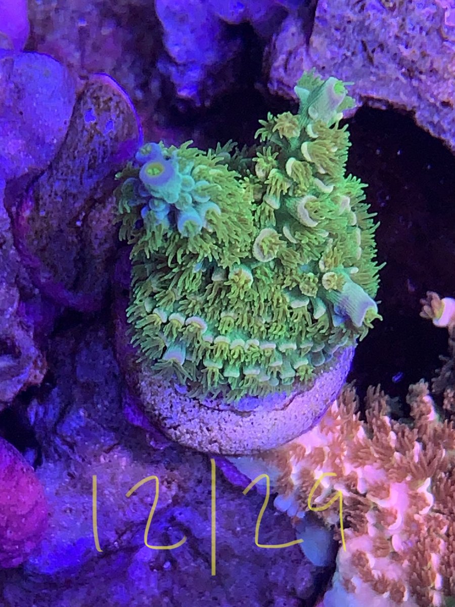 26042322-1B51-4608-8256-9040DE5E306D.jpeg
