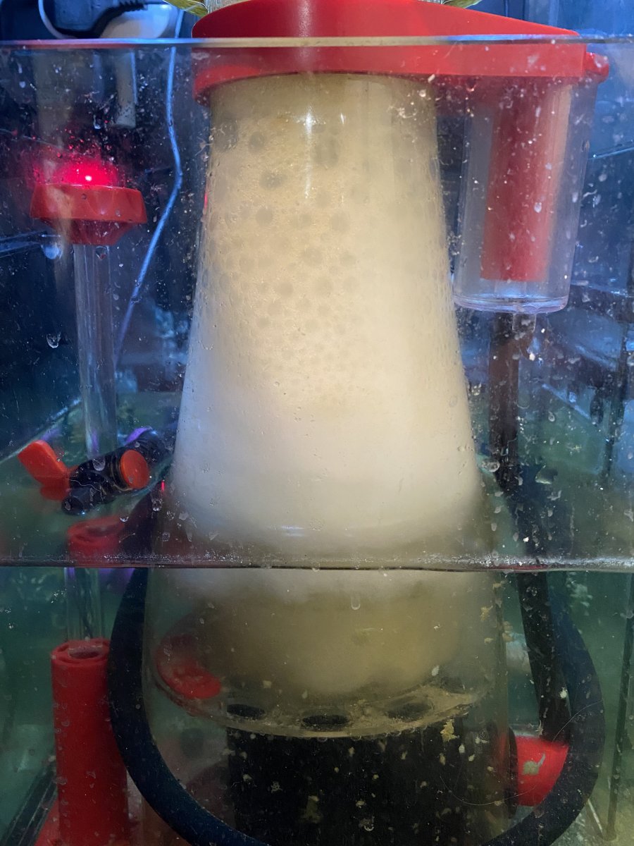 2716C6DF-E6FA-4CA9-9D49-B61E13BA11B0.jpeg