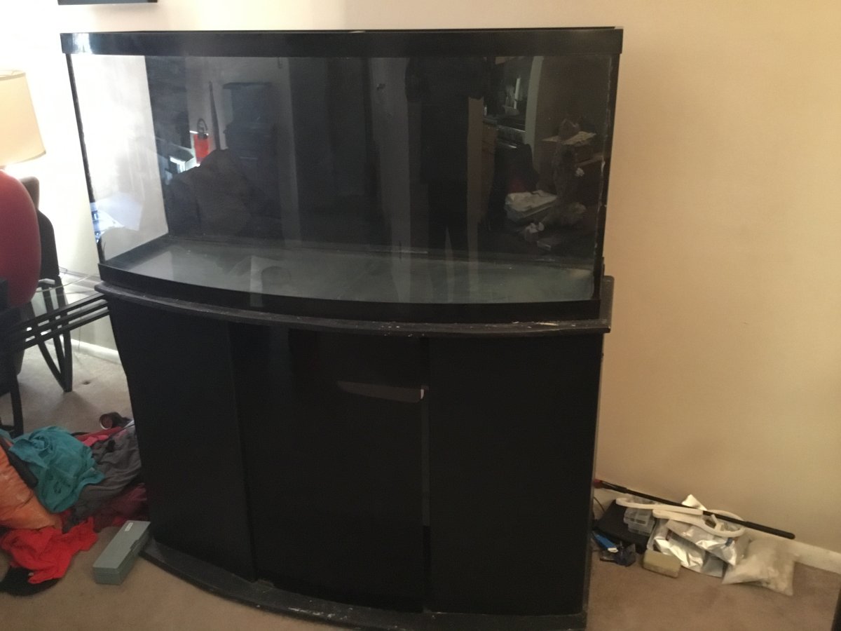 Miscellaneous Philly area 72 gallon bow front stand 400