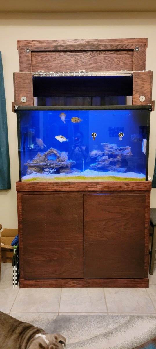 Florida 150 Gallon Planet Aquarium Tank with Custom Stand