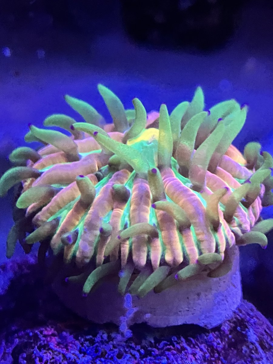 27B6FCB3-199D-44EF-84F3-5FF349CF312E.jpeg