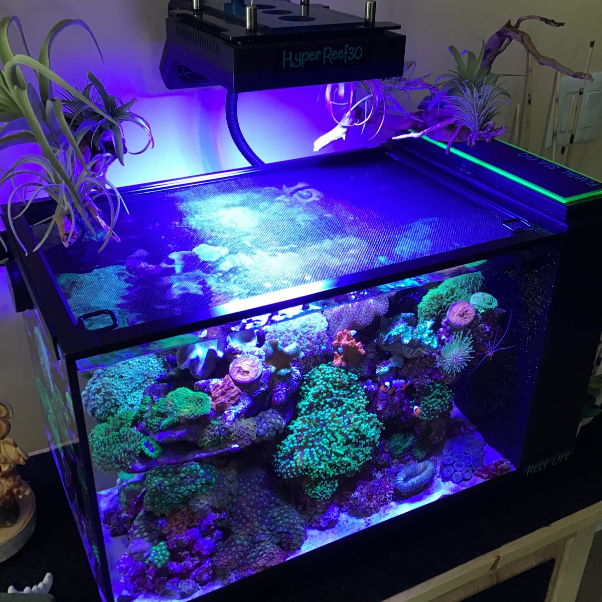 Can I use plexiglass as an aquarium lid?  REEF2REEF Saltwater and Reef  Aquarium Forum