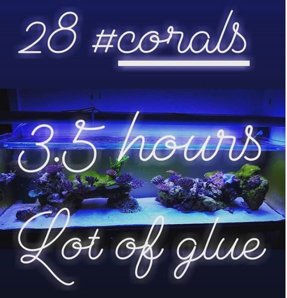 2823glue.JPG