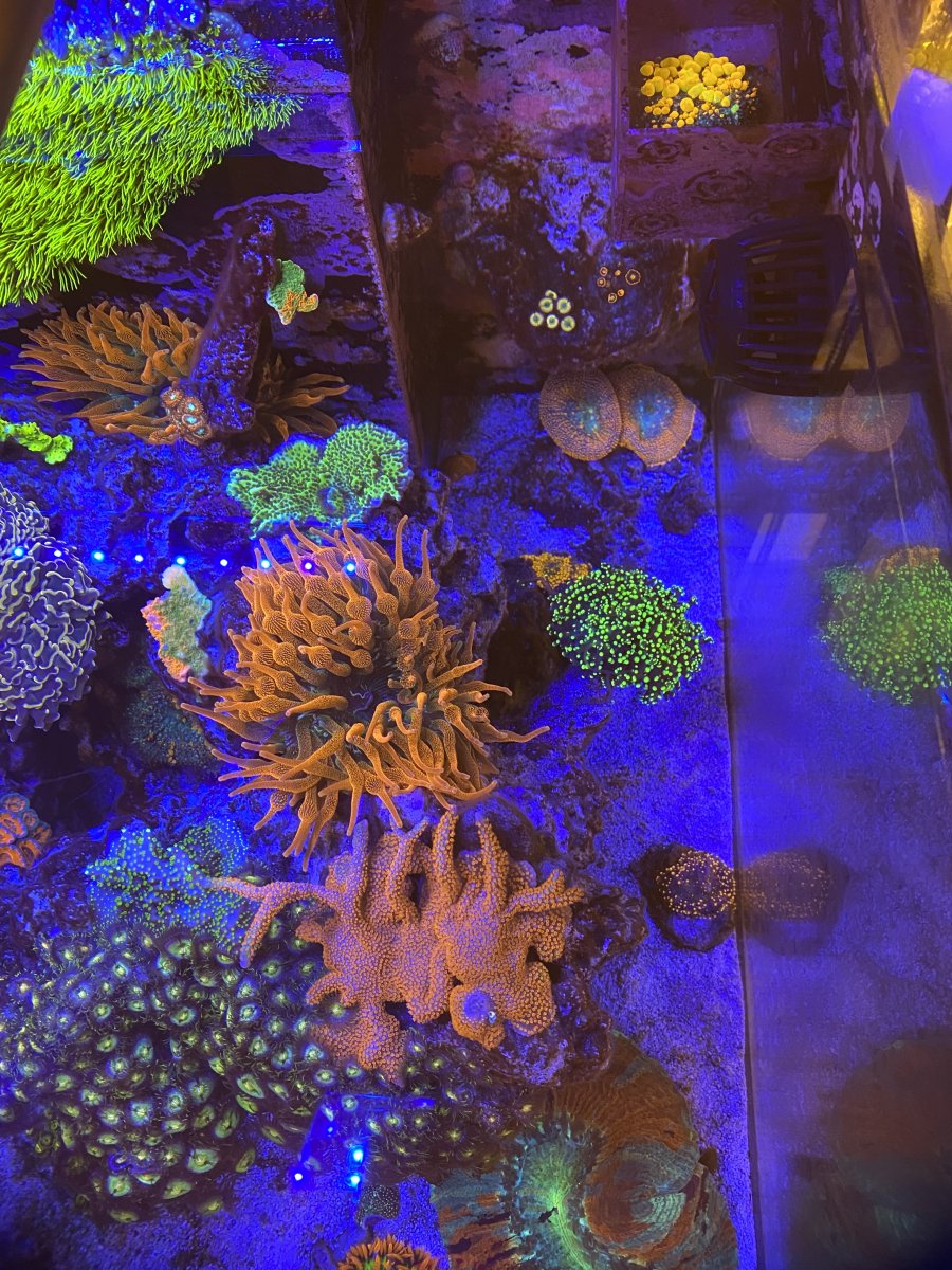 28C09B19-A81A-4993-9130-8B0799787B90.jpeg
