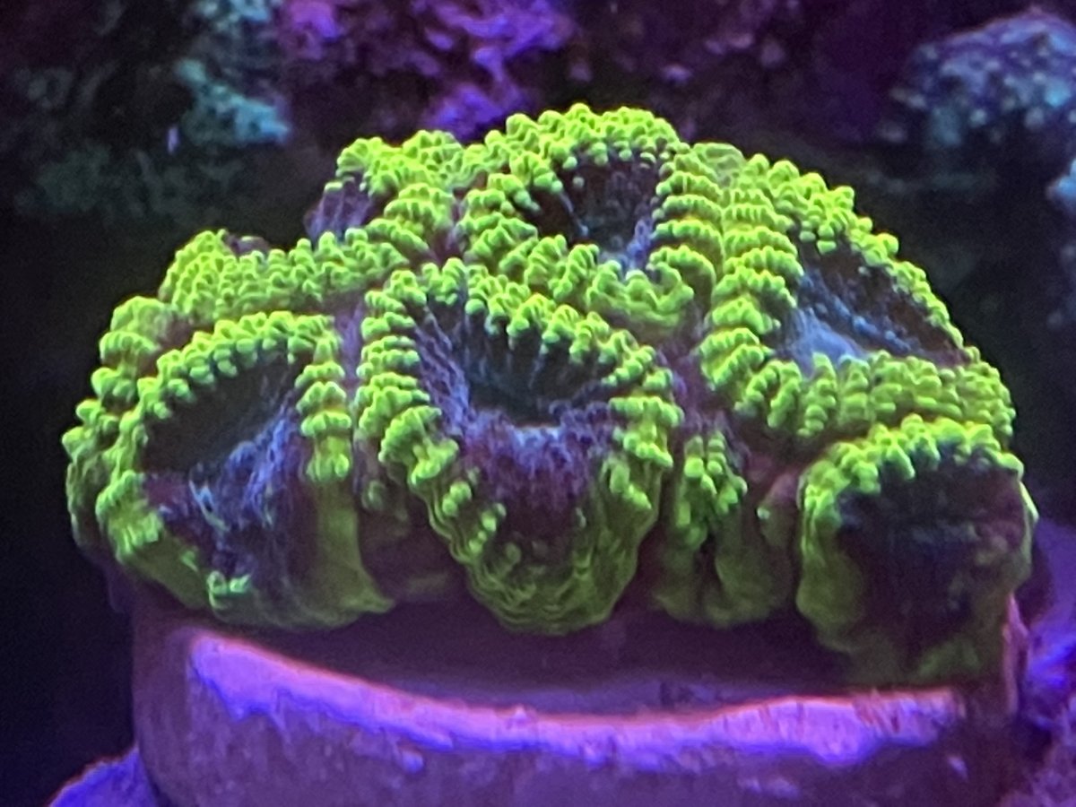 290C2C2D-0280-4265-8DFB-E1BBBA022254.jpeg
