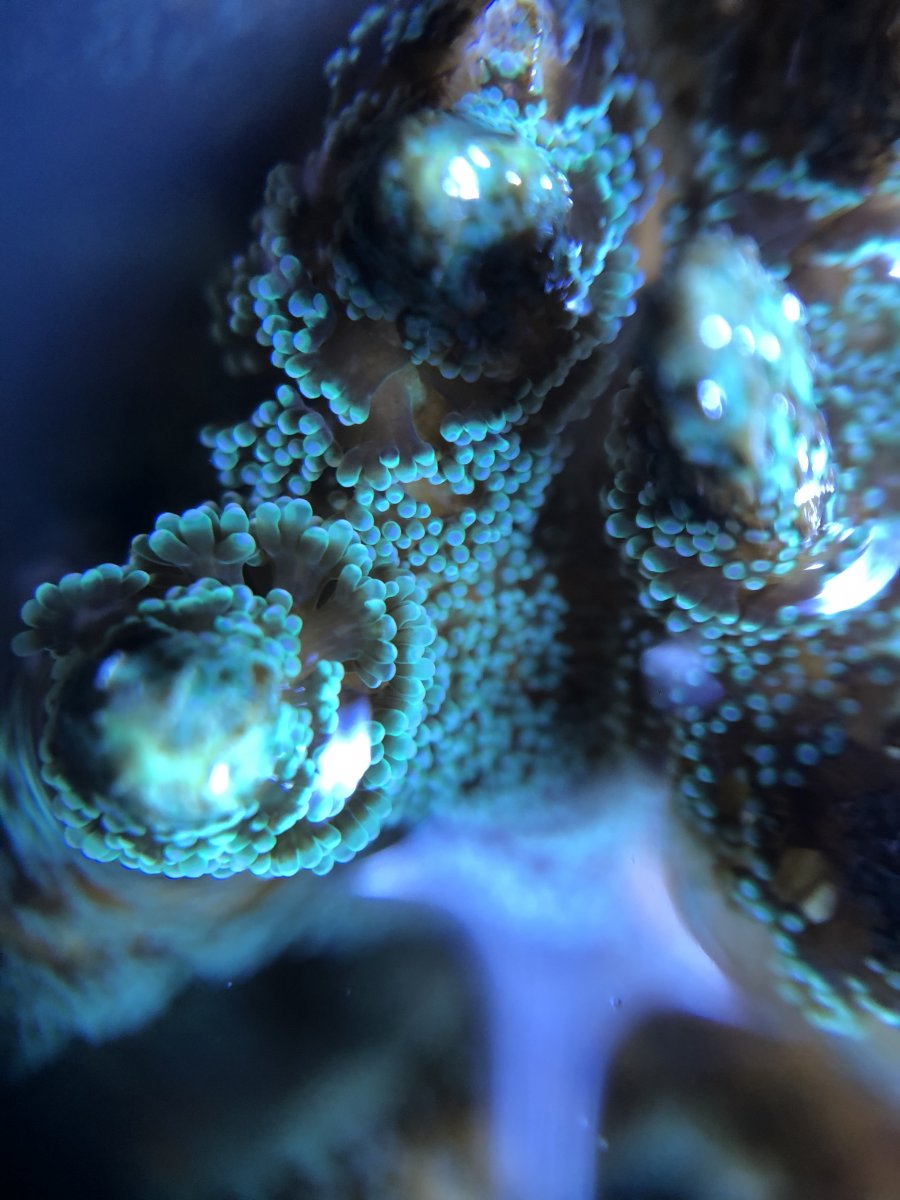 2A1493D7-48D8-47EF-B600-0C8D36192D0D.jpeg