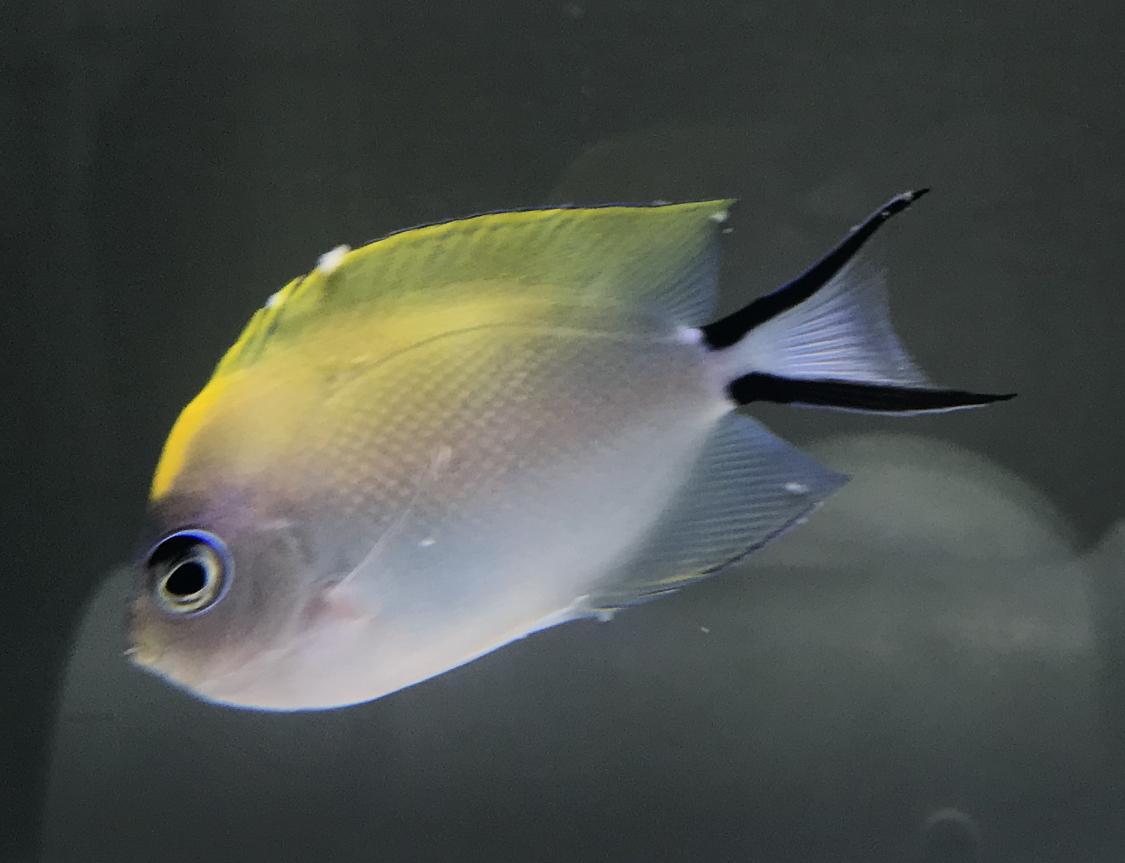 2A79EBCF-88C0-412B-A208-70EF37676331.jpeg
