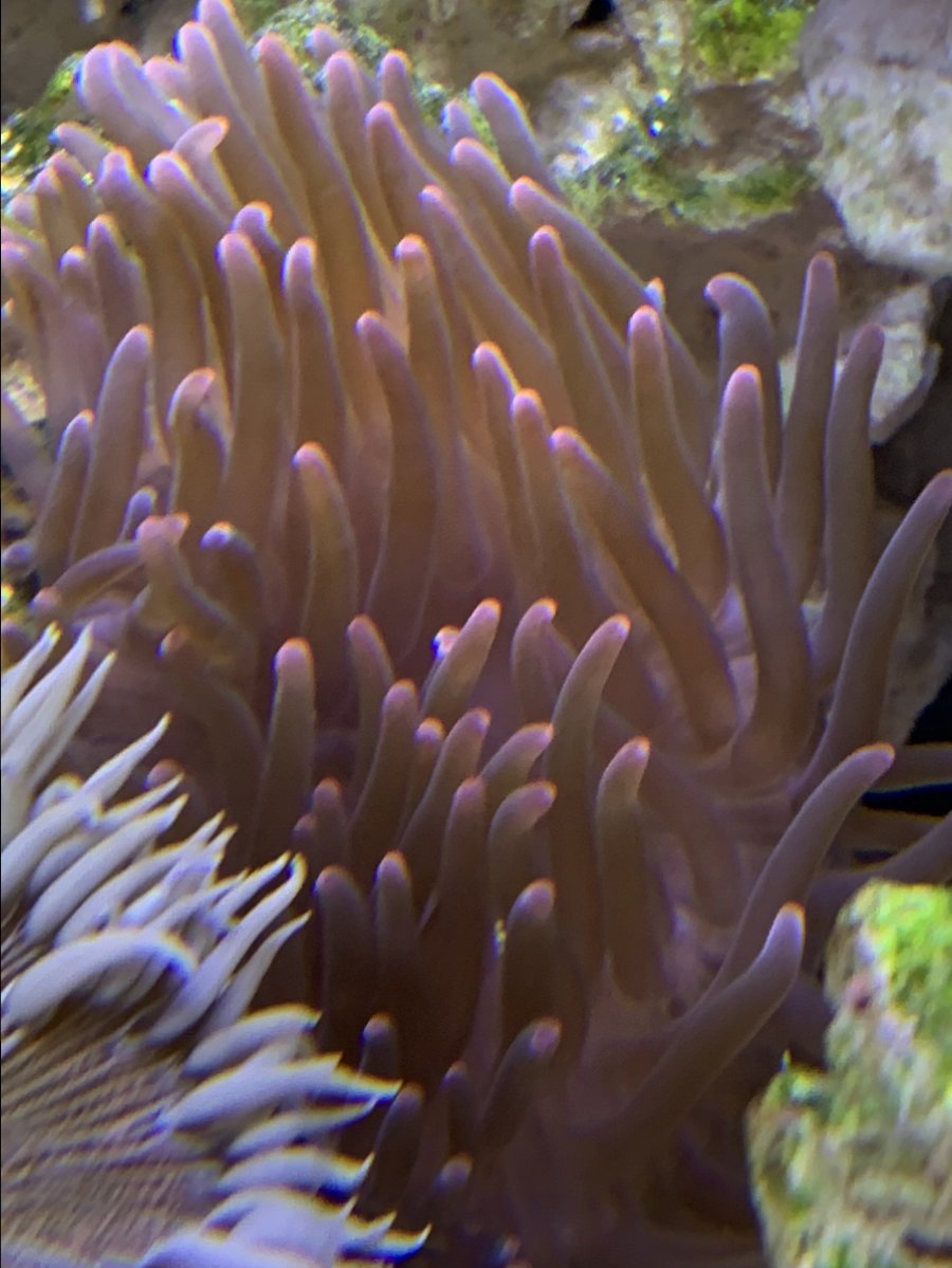 2B55EC18-AB73-4A59-96E2-07C8D7E1015C.jpeg