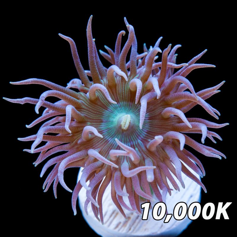 2B56CF09-11B3-48F5-AF3D-80CF98064EDE.jpeg