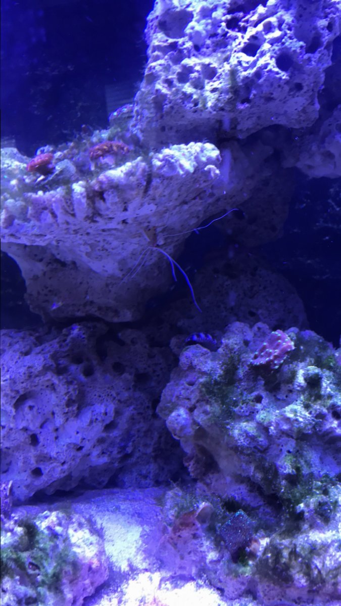 2C4688C3-1CC7-4B7F-BED4-E3F412F4E428.jpeg