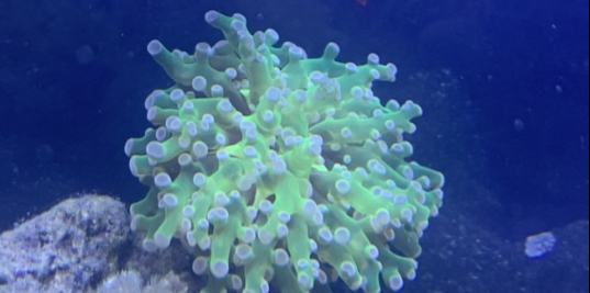 2C793ED7-CF83-49C2-A9DD-6F96EA43F235.jpeg