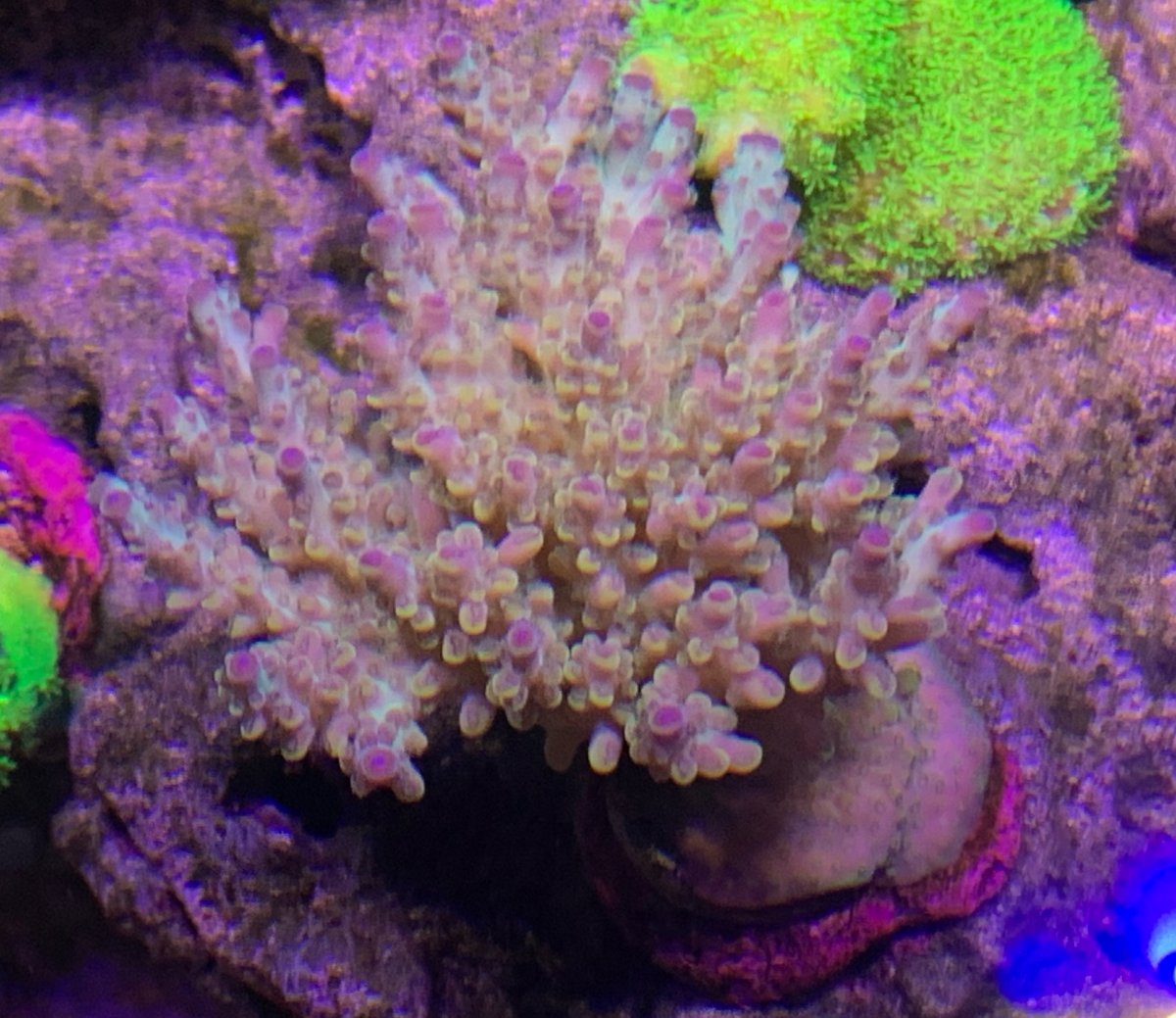 2C8E54D5-0783-427F-84A7-ED01D4B11383.jpeg