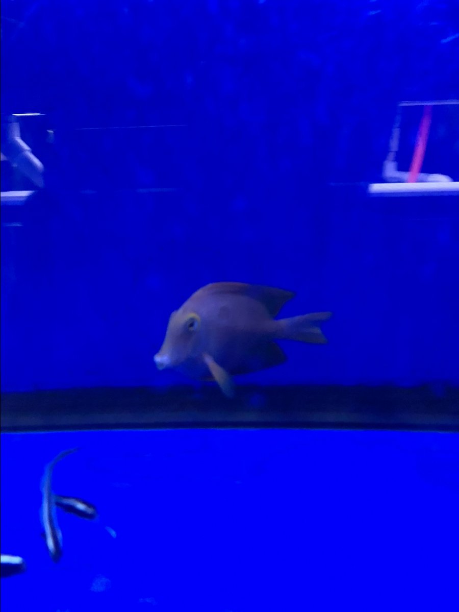 2CD0E432-A494-4198-924F-E56D5CE13FDB.jpeg