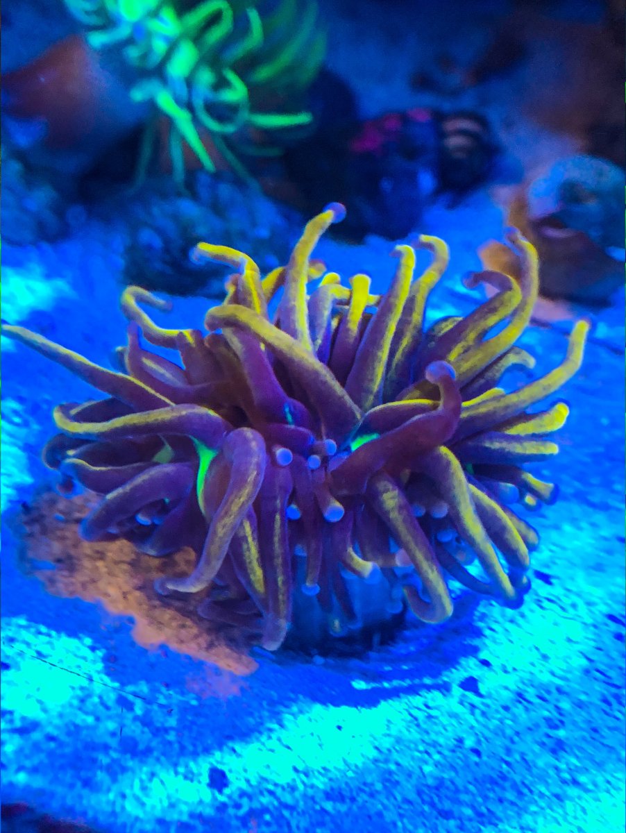 2D44452C-0958-4DEC-86BF-E7142BC35239.jpeg