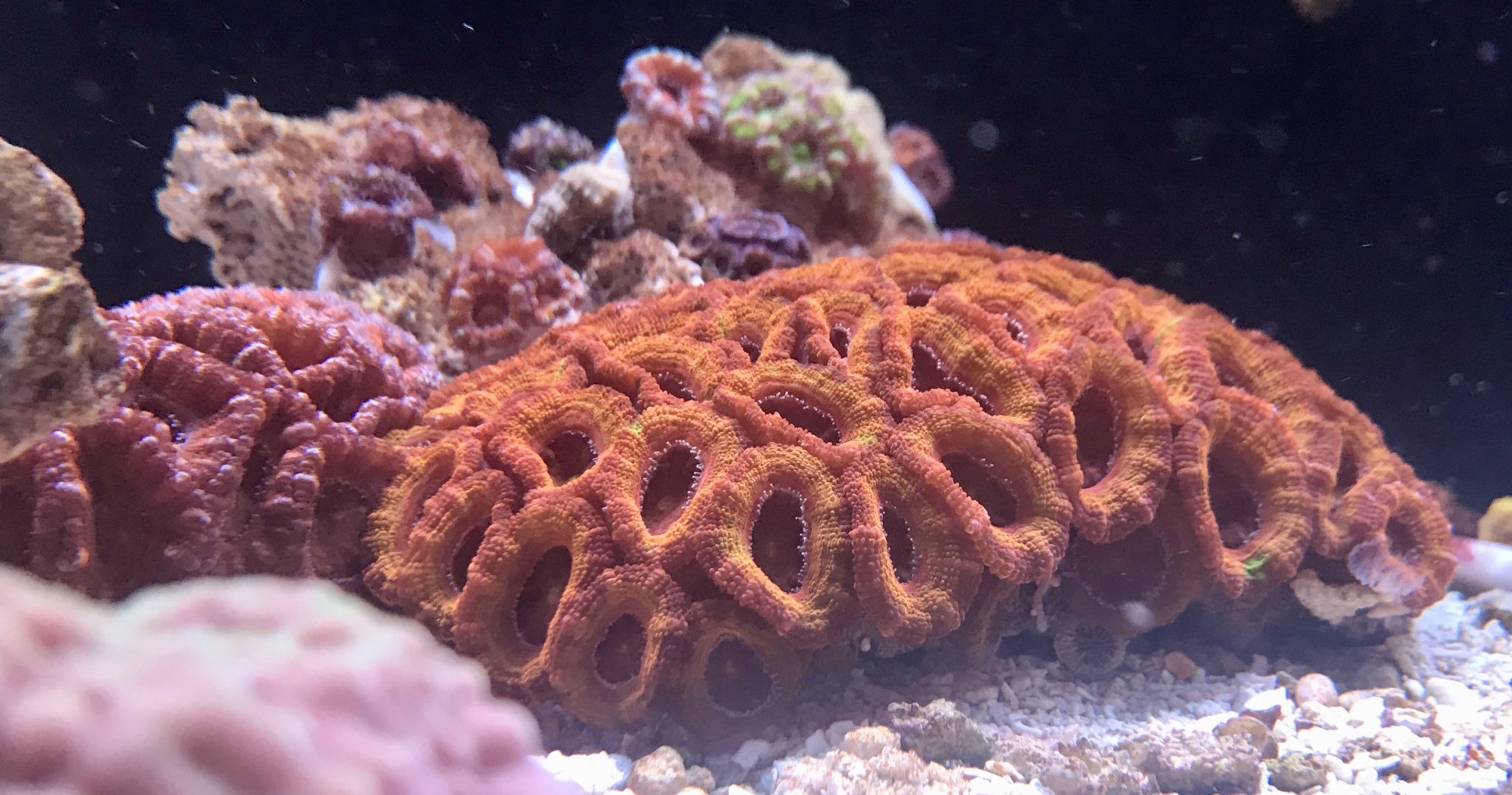 2D9009FD-4236-4046-9487-AD08D4D7449E.jpeg