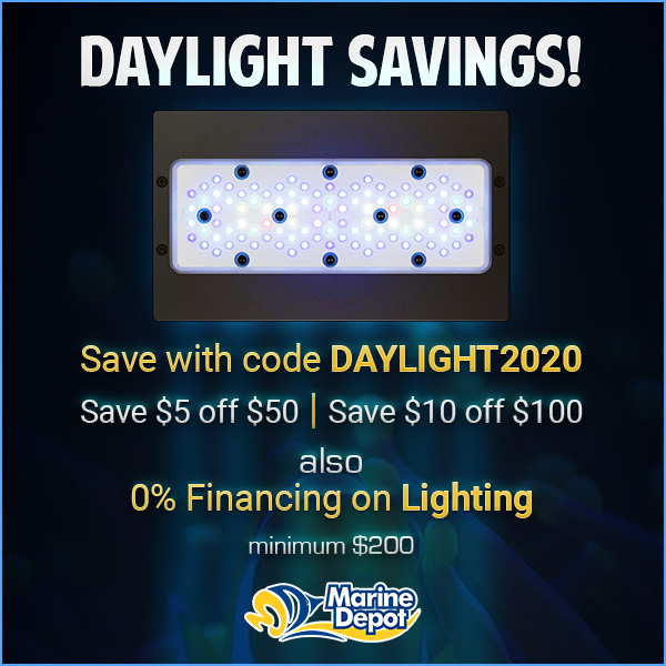 2daylight-savings-2020-social.jpg