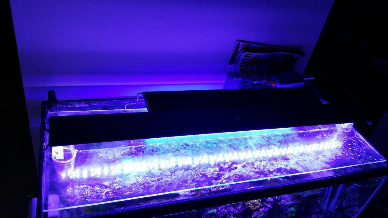 2led.jpg