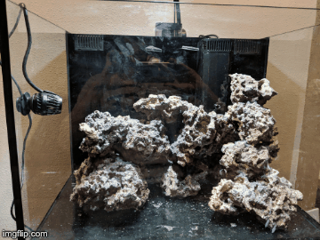 2nirx9.gif