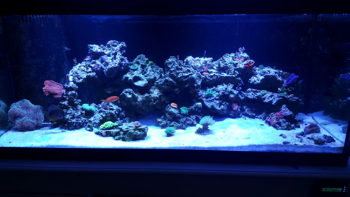 3-6-16.jpg