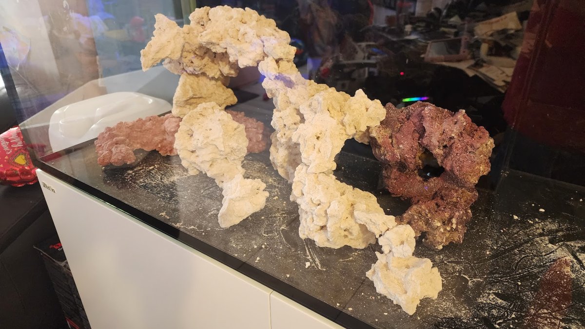 Several permutations at first rockscape | Reef2Reef