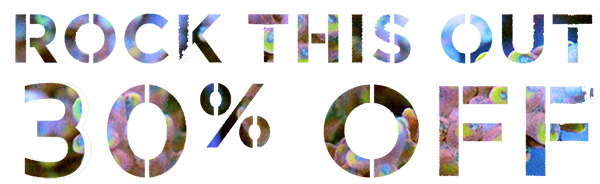 30.png