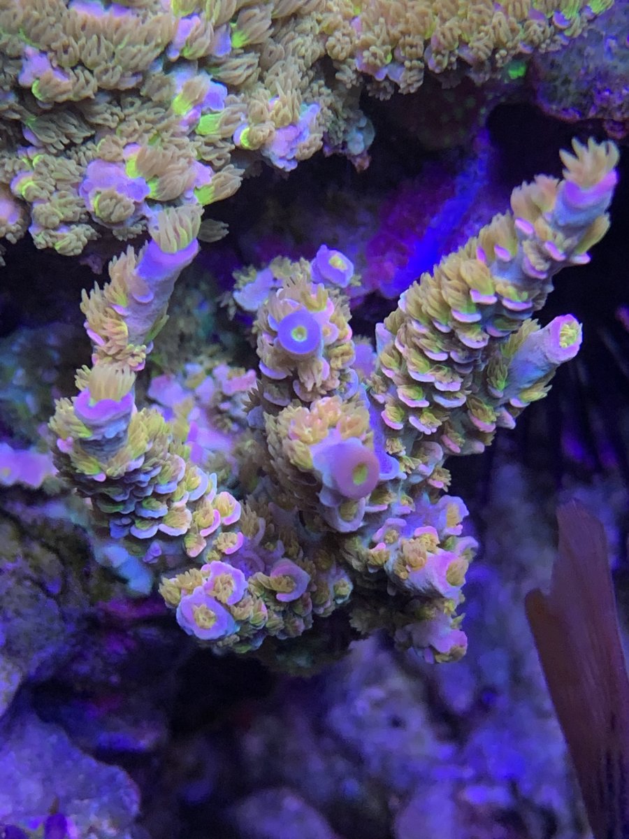 3089929E-62C8-4D8D-9D1C-90B29F488B8B.jpeg