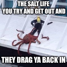 3133E695-4D5E-40FF-A0CA-FAEB51439794.jpeg