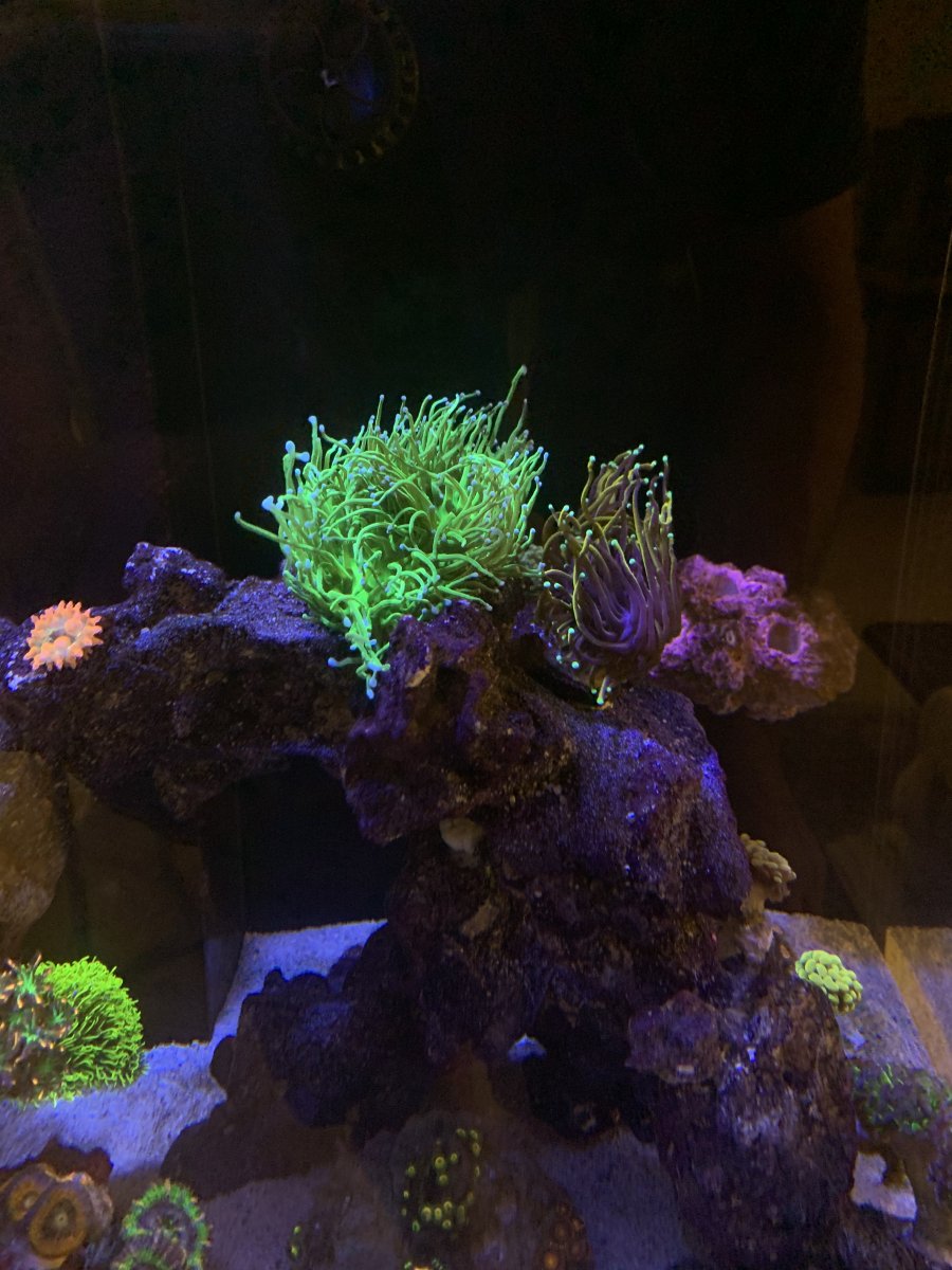 319006BF-DA8D-4172-84F7-D6FD751BF038.jpeg