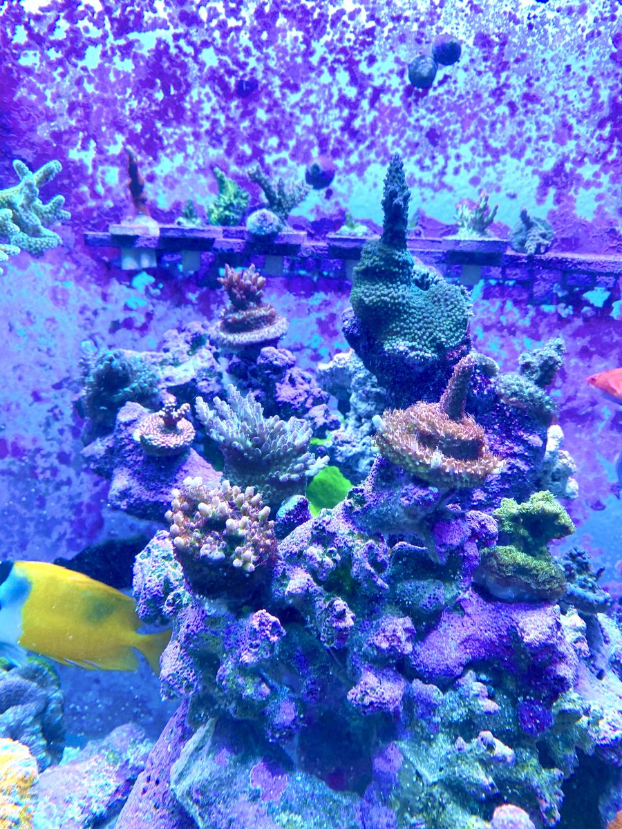 31F04071-37E8-4474-8FF7-7C8FFEB92BA6.jpeg
