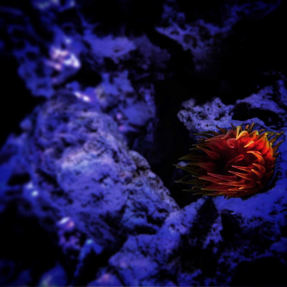 327D2B48-E052-4B9D-8EF8-411CA1BFD47E.jpeg