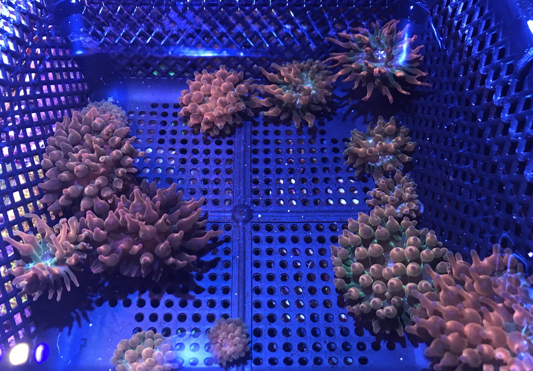 3293F232-CDB4-4A32-9E8E-A55CAB18F159.jpeg