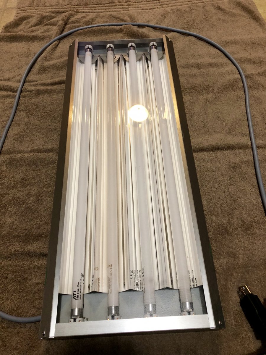 North Carolina - ATI 24” 4 bulb sunpower T5 light | Reef2Reef