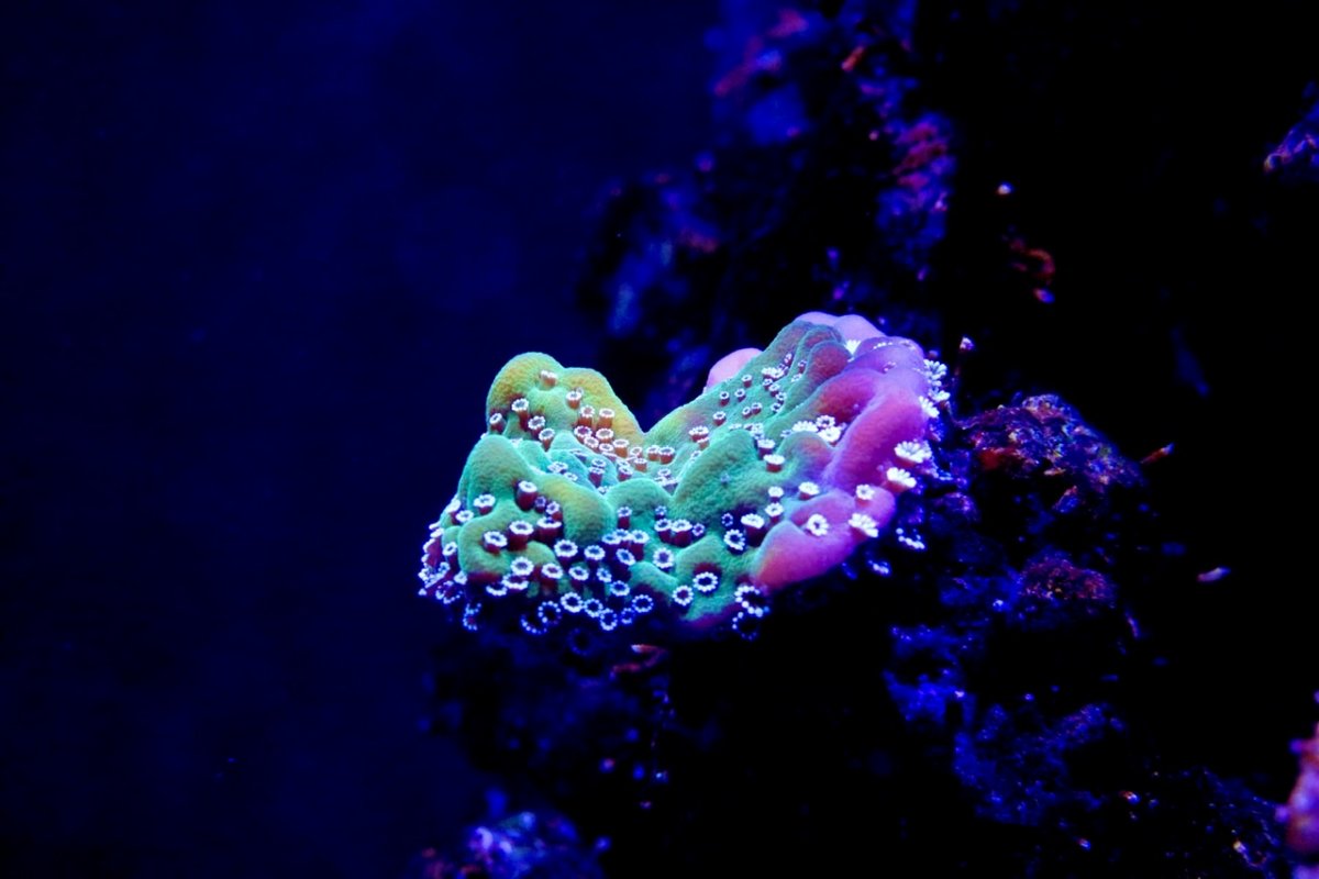33B932FD-0F09-4DC9-AAA7-32F1C0A895D4.jpeg
