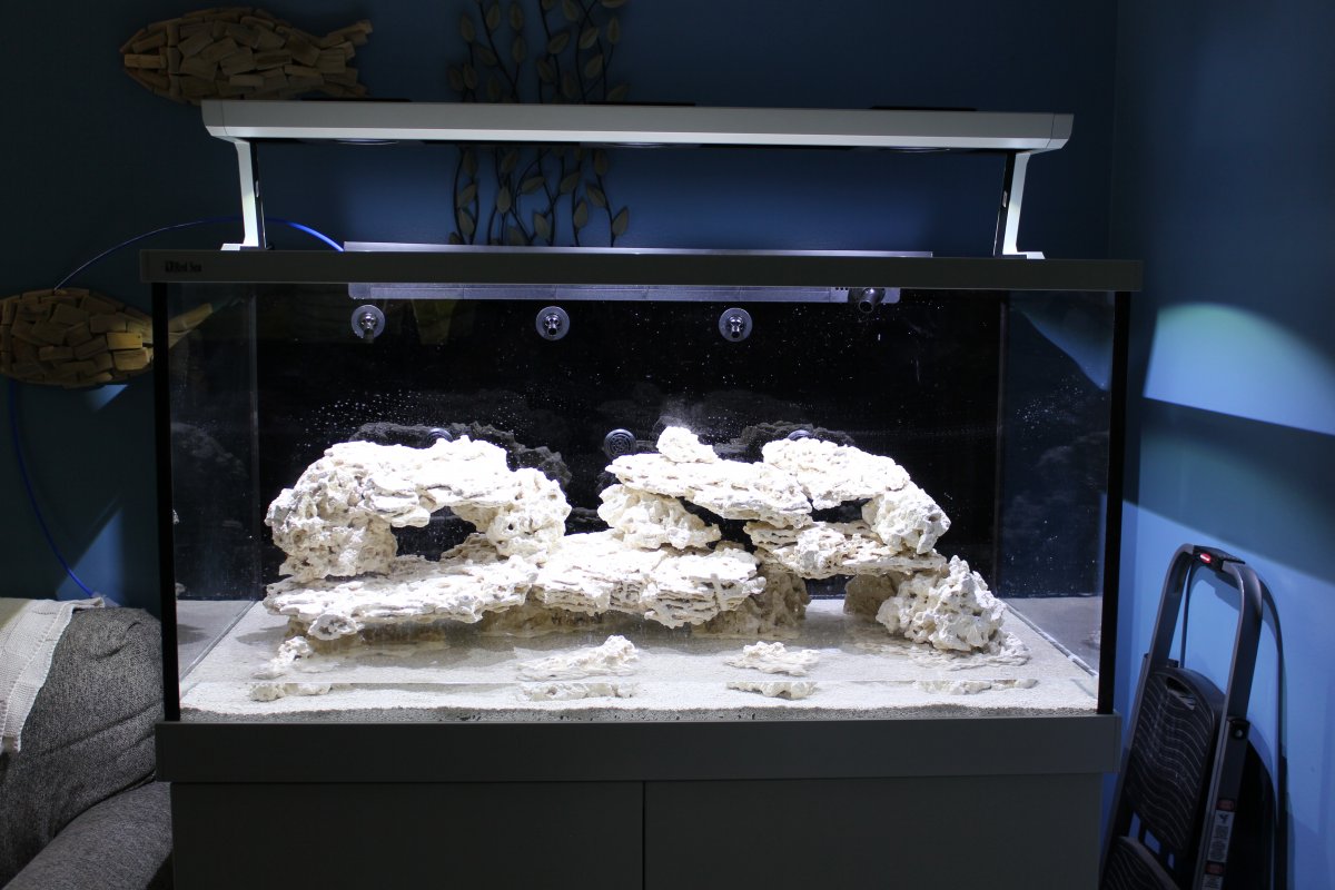 34 - Rock.JPG
