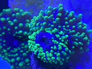3423BB8E-9F55-4899-BF53-E9B4702D5718.jpeg