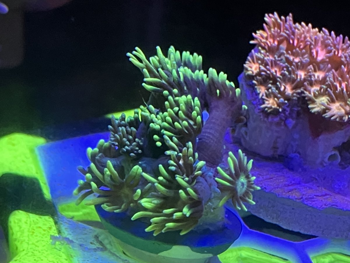 345D65DF-DF21-4692-82E9-087E2D7C8383.jpeg