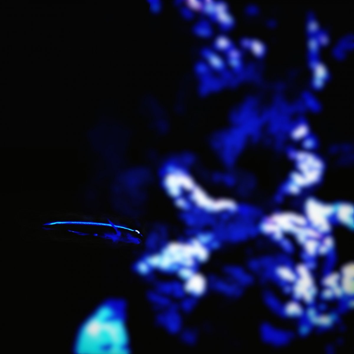 348F9964-A7C9-482F-B7E4-D7E968181E33.jpeg